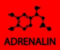 Molecular formula of adrenaline. Symbol. Vector Royalty Free Stock Photo